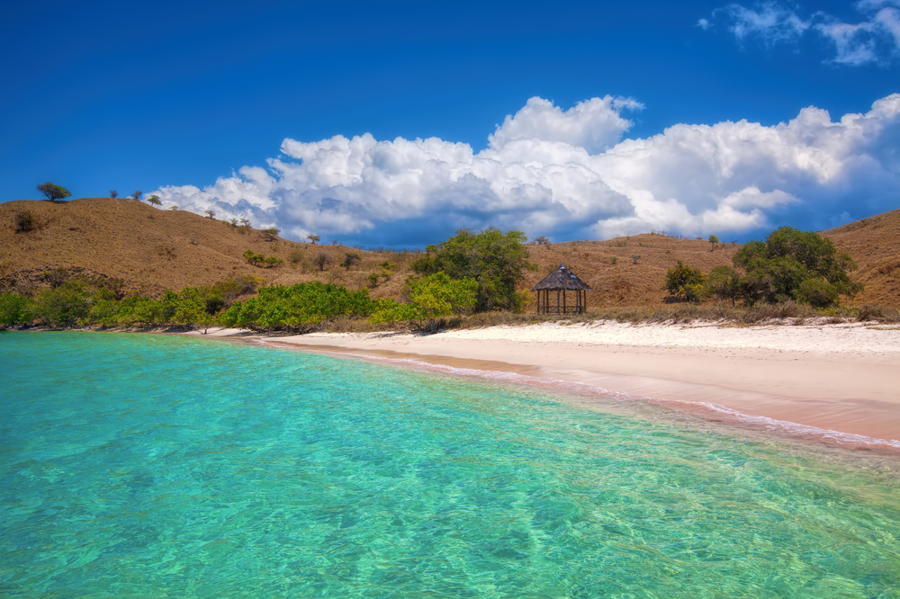Eloknya Pantai Pink di Pulau Komodo