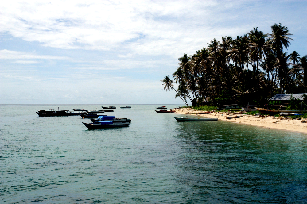 Spot-Spot Terbaik untuk Menyelam di Kepulauan Derawan
