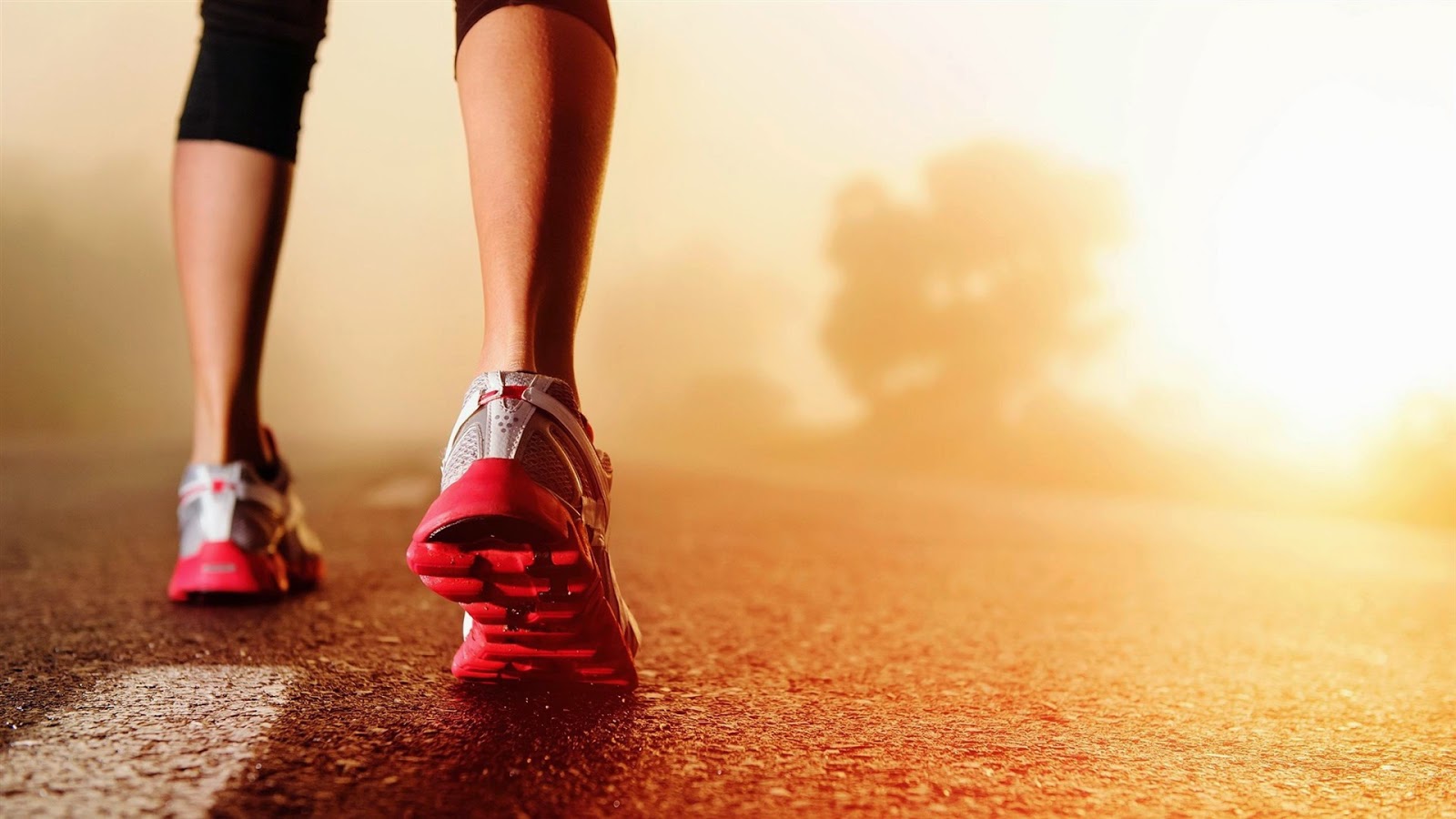 Panduan Memilih Sepatu Lari