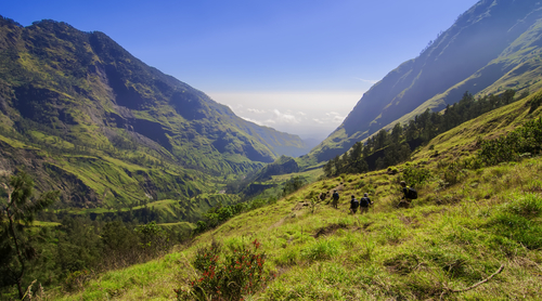 Ingin Mendaki Gunung Rinjani, Simak Ulasan Kali Ini, Bro! 