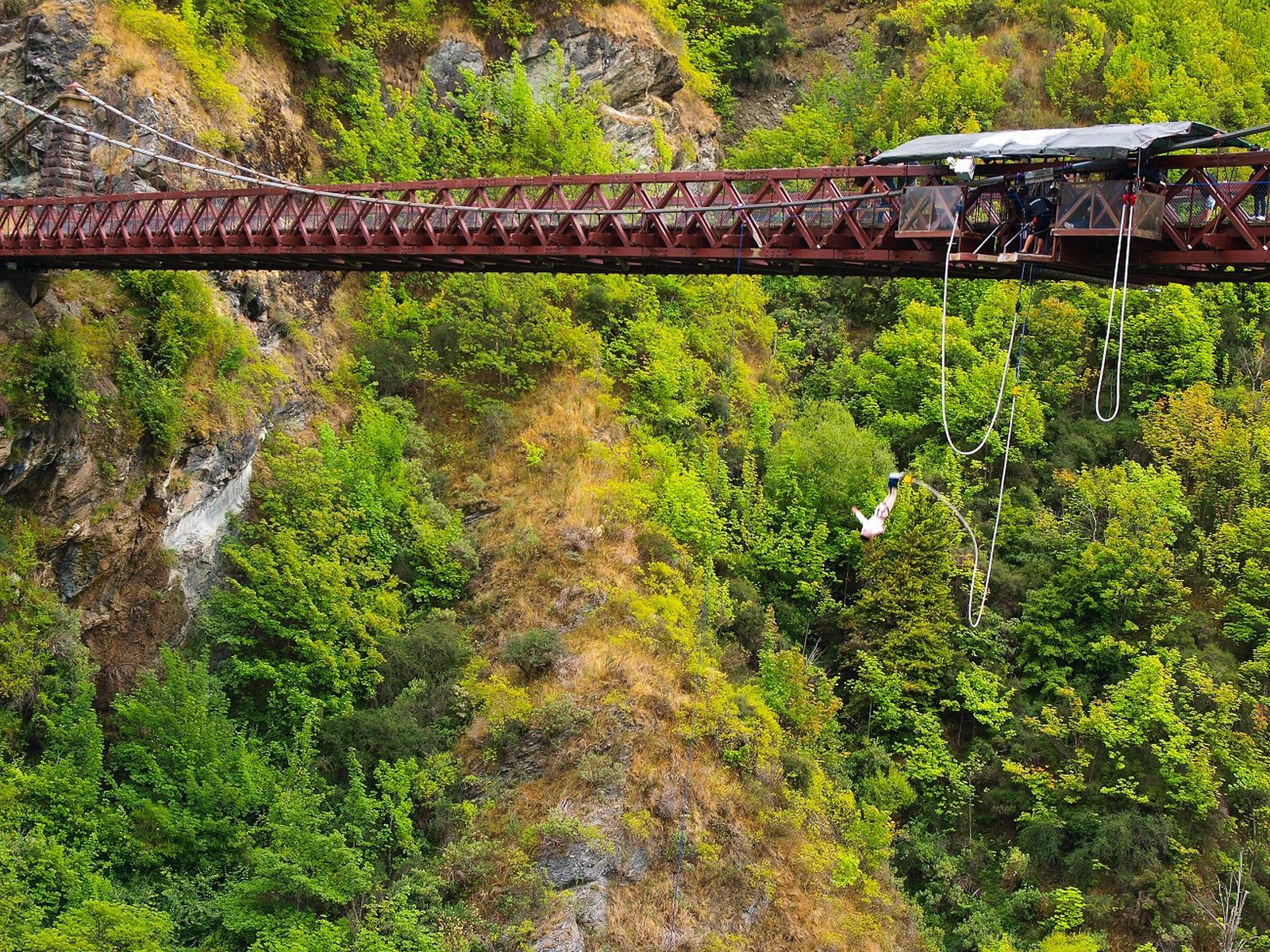 Bungy Jumping itu Seni Memantul Tubuh, Gokil Bro!