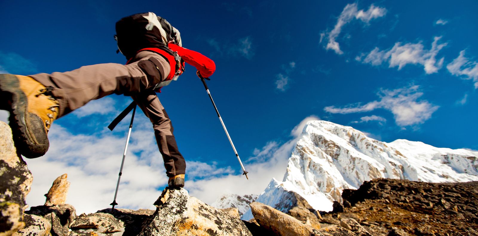 Jenis Kayu Terbaik untuk Dibuat Tongkat Jalan
