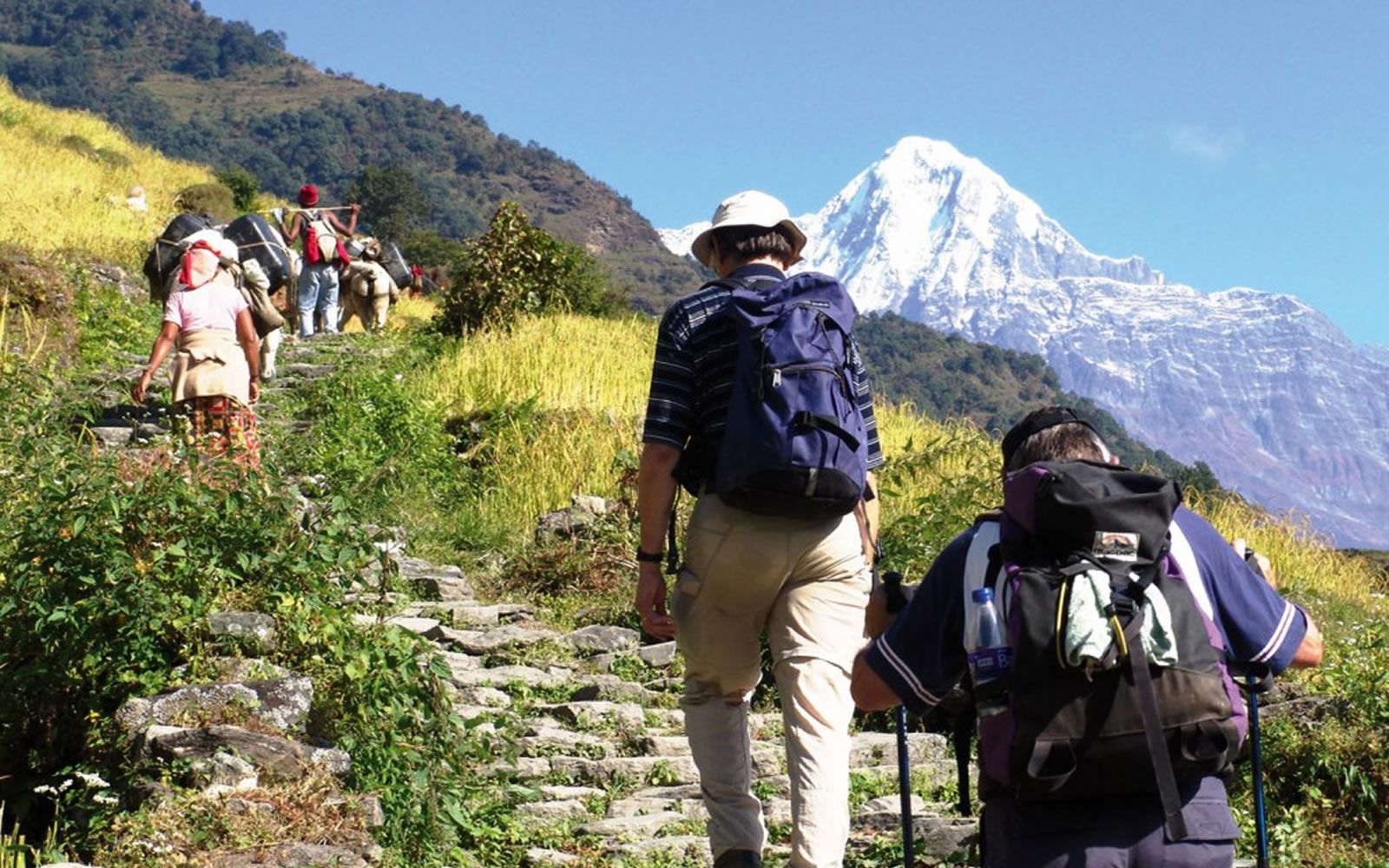 Apa Sih Artinya dari perbedaan Hiking dan Trekking?