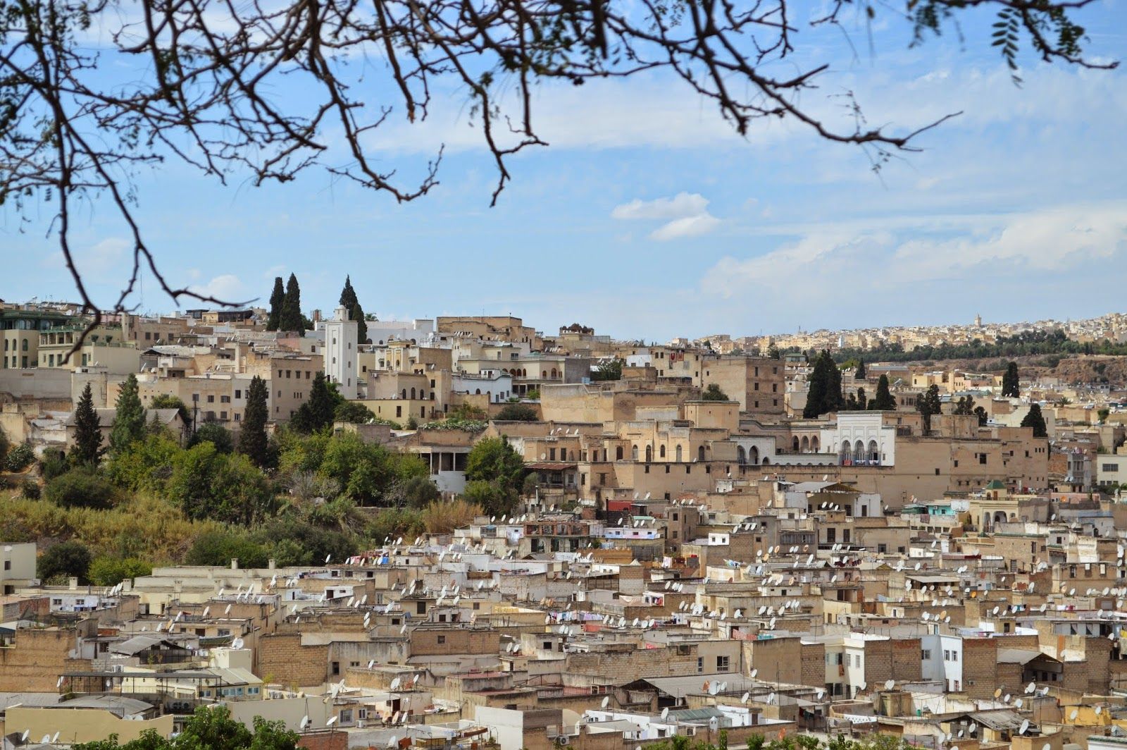 Kumpulan Suvenir Unik yang Wajib Dipunya (Afrika)