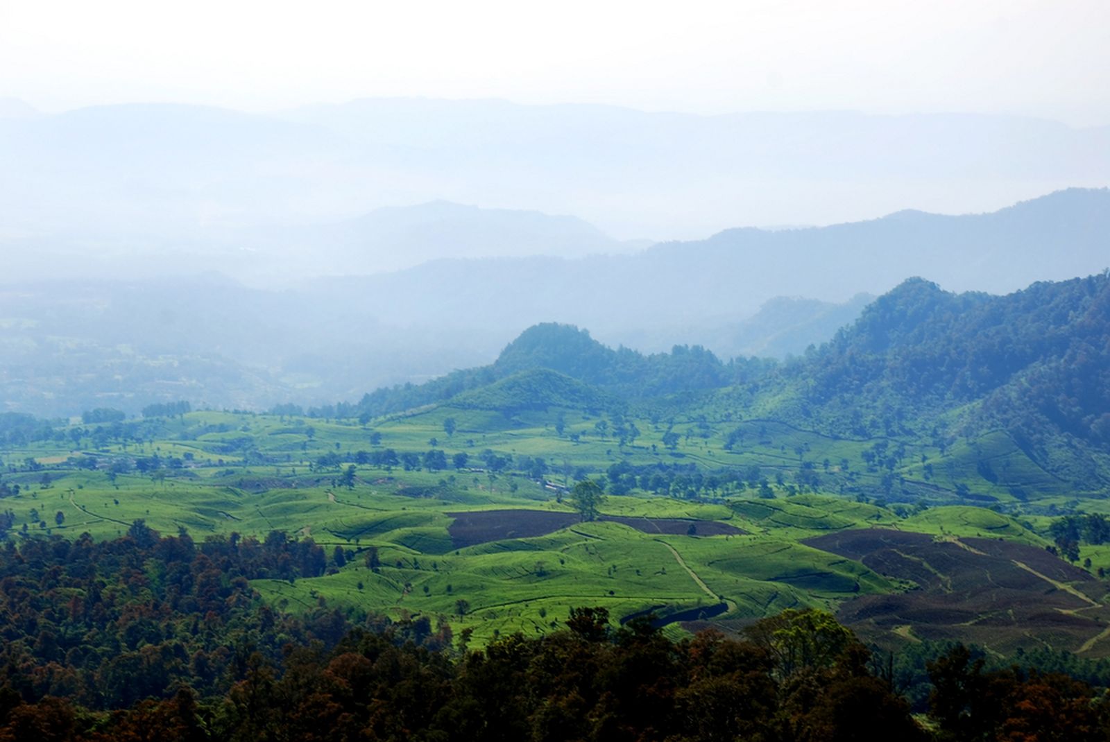 Lokasi yang Wajib Dikunjungi Petualang Sejati Di Bandung, Jawa Barat