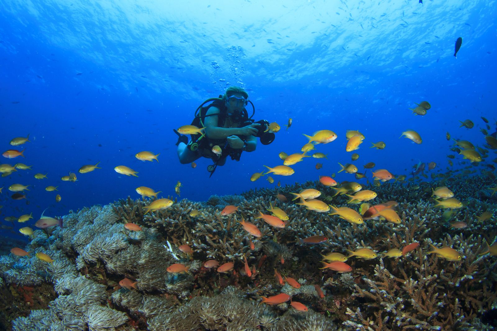 Terkesima Pesona Tobelo yang Tidak Kalah dengan Raja Ampat