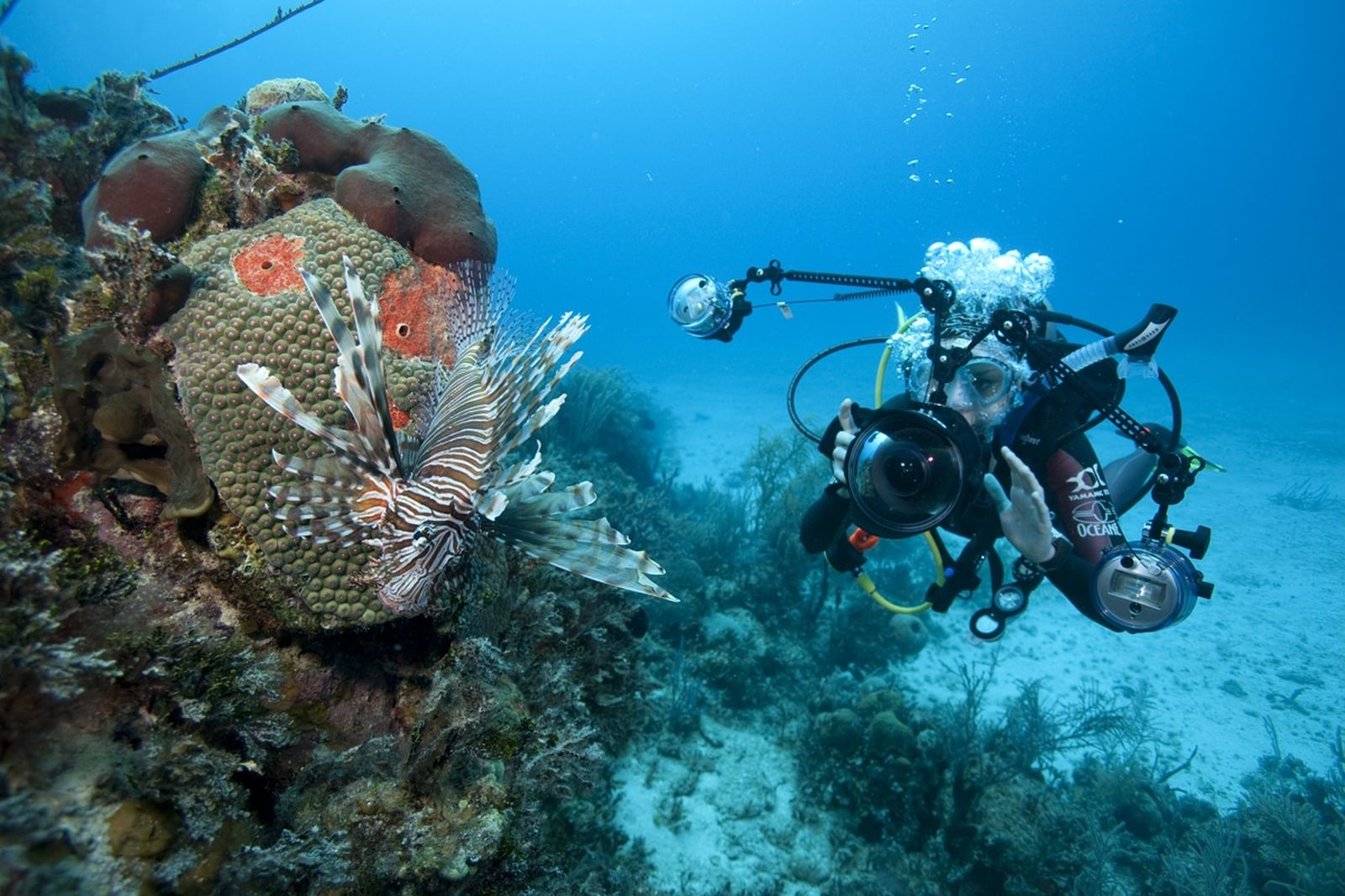 Mau Foto Panorama Bawah Laut? Begini Triknya!