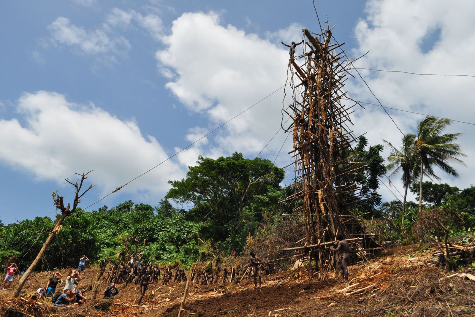 Tradisi Paling Ekstrem di Dunia, Land Diving Vanuatu