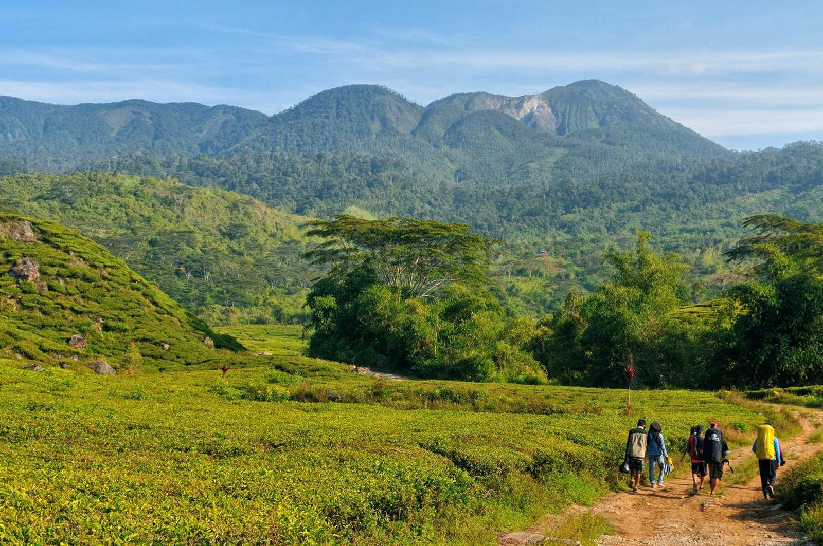 Menggapai Puncak Gunung Talang Lewat Ai Batumbuk