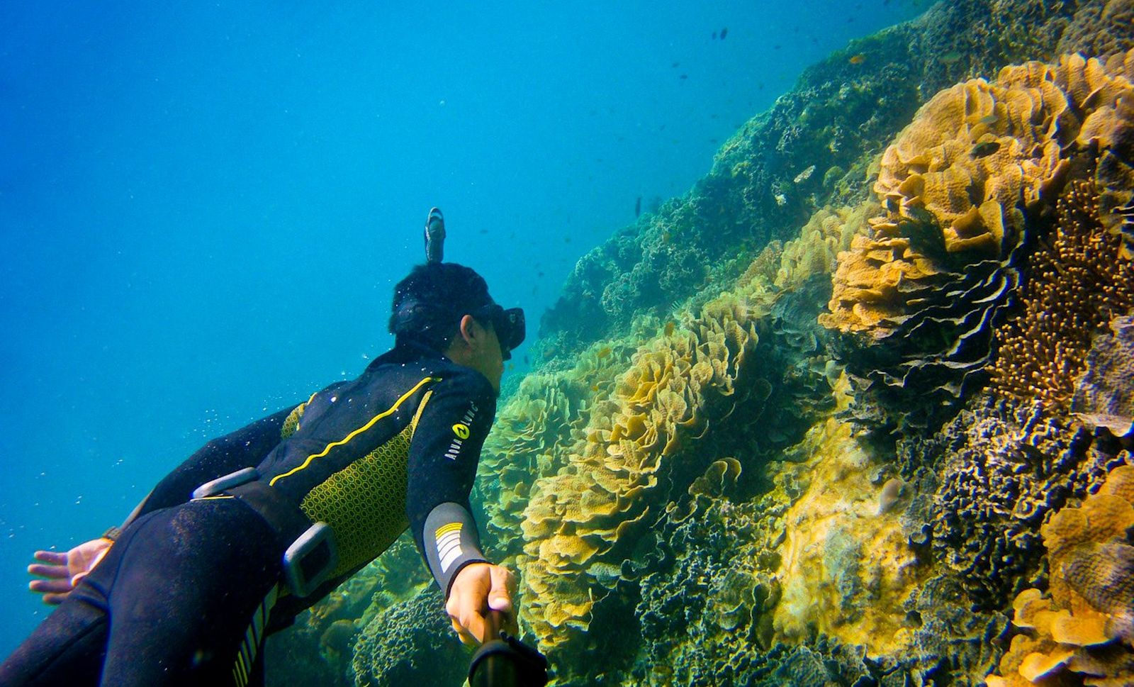 Freedive, Kegiatan Menyelam Tanpa Alat Pengaman