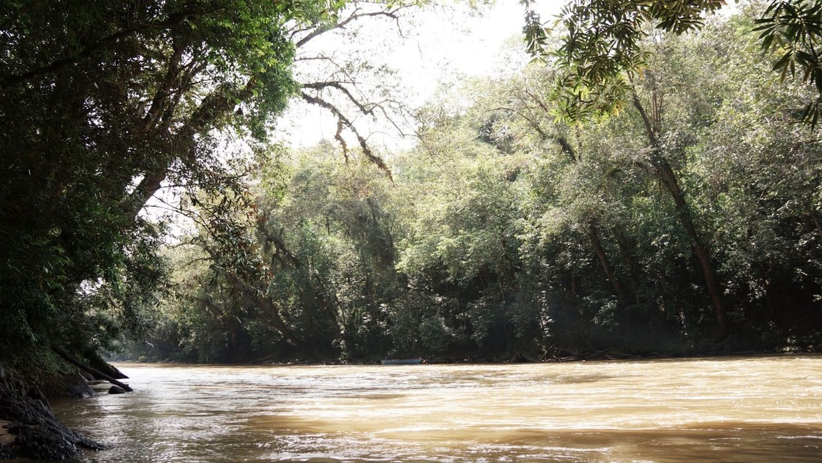 Surga Tersembunyi di Taman Nasional