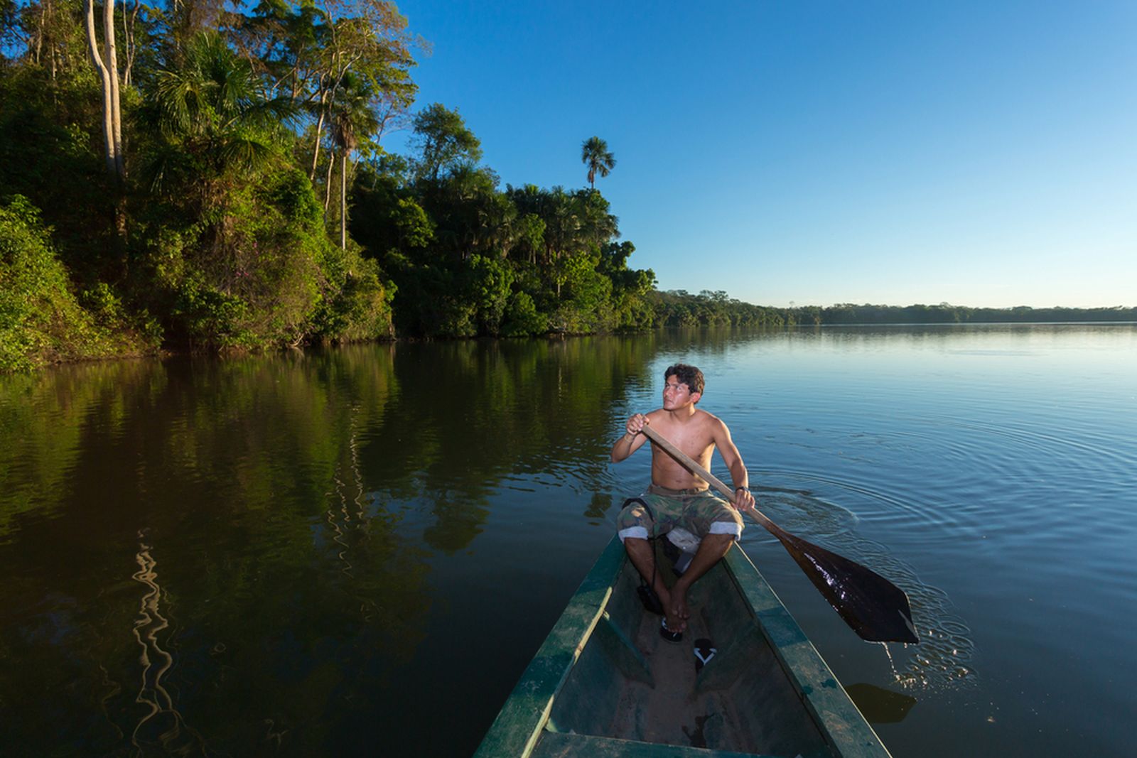 Menikmati Alam Liar Amazon