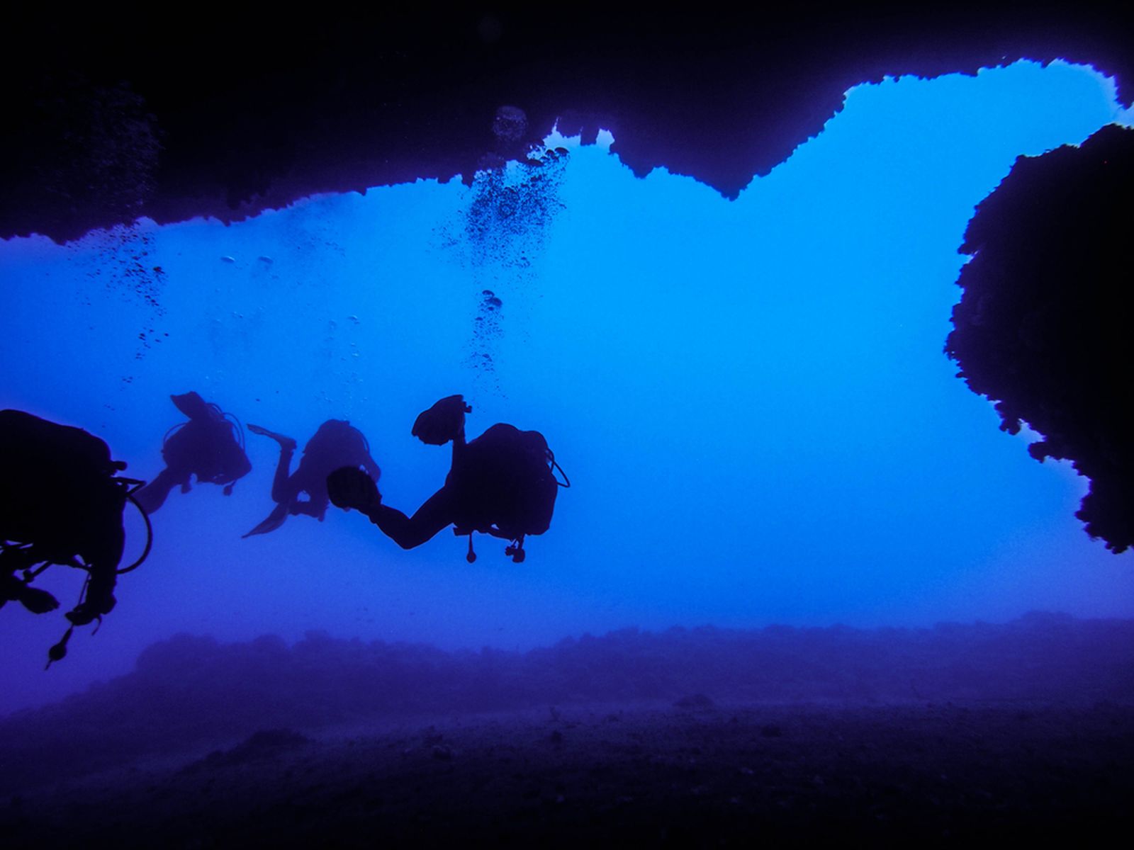 Cave Diving Menyelami Gua Bawah Laut Buton
