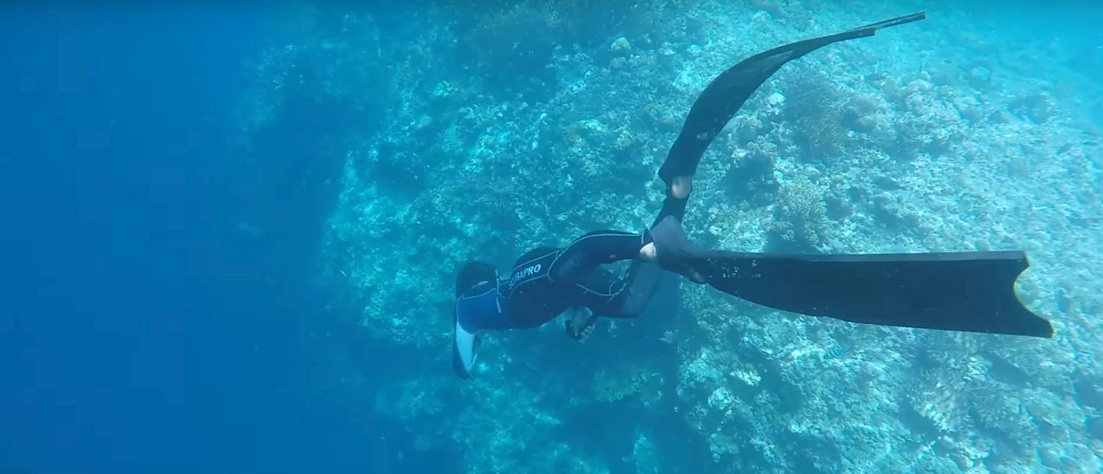 Freedive, Sekelas di Atas Snorkeling