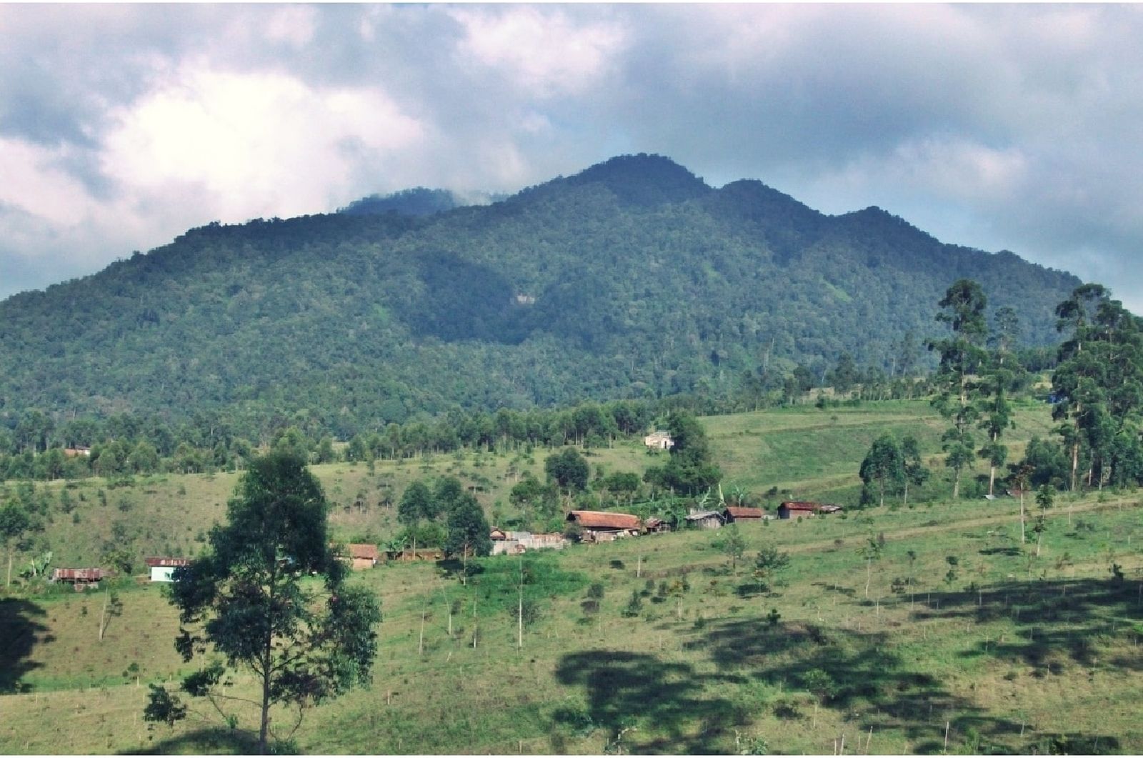 Bro, Yuk Rayakan Sumpah Pemuda di Puncak Gunung Burangrang!