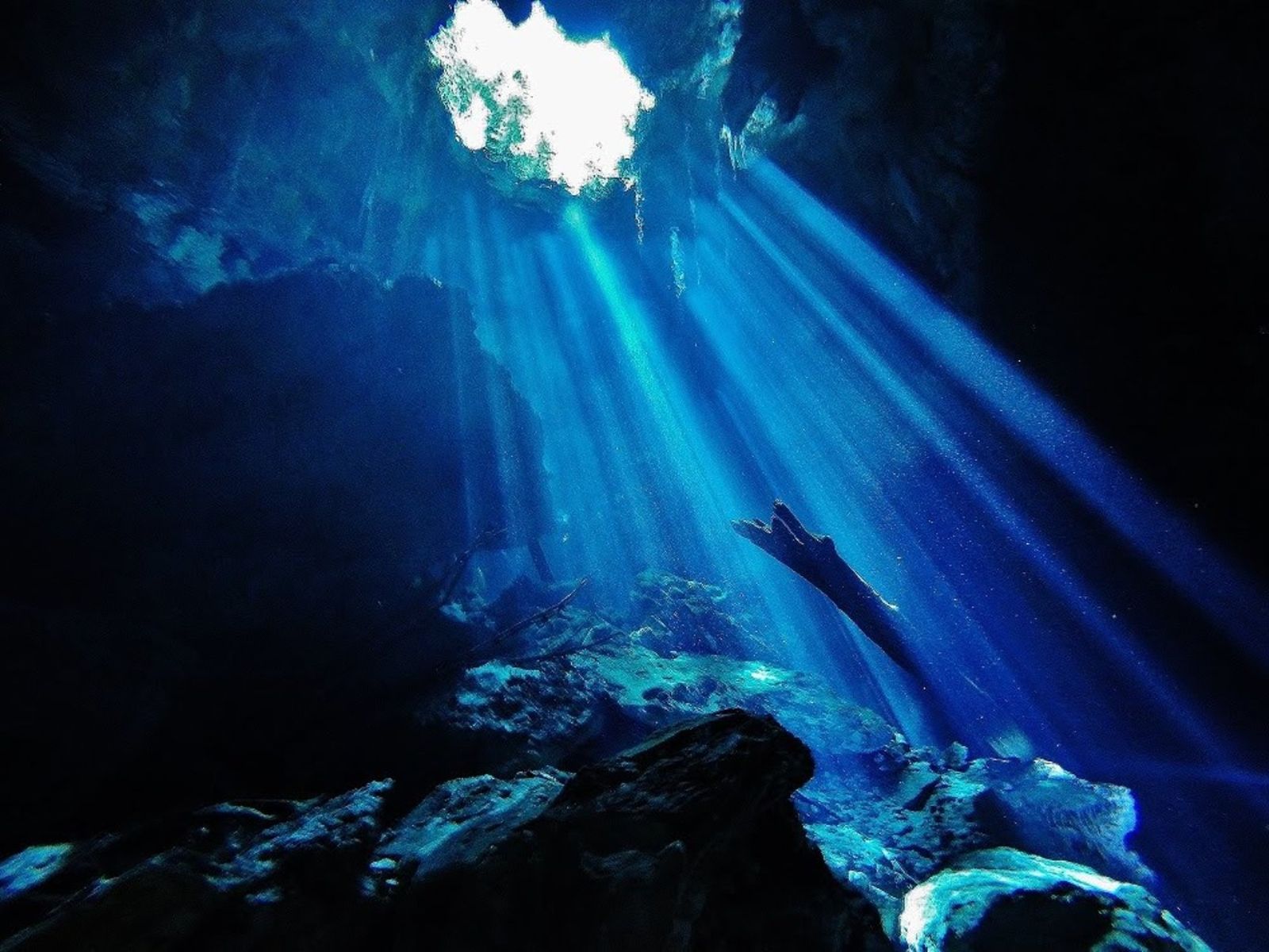 Cenota Tajma ÃƒÂ¢Ã¢â€šÂ¬Ã¢â‚¬Å“ Ha Diving