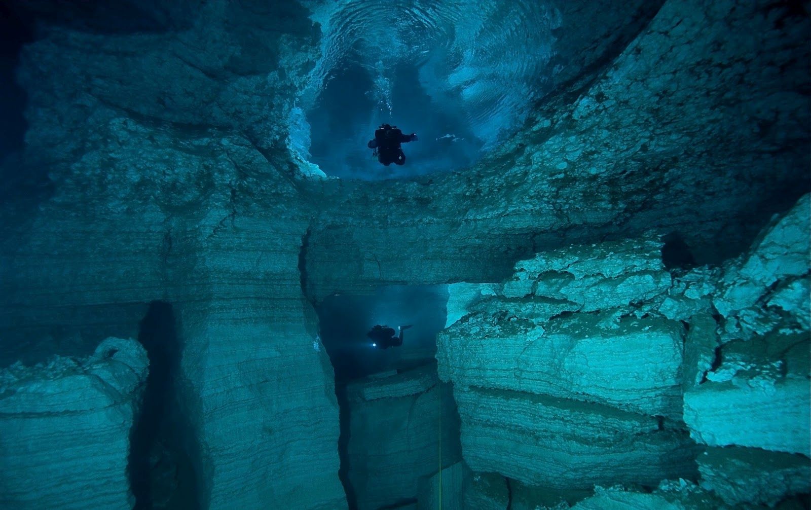 Telusuri Gua Bawah Laut Lewat Night Cave Diving, Yuk! Telusuri Gua Bawah Laut Lewat Night Cave Diving, Yuk!