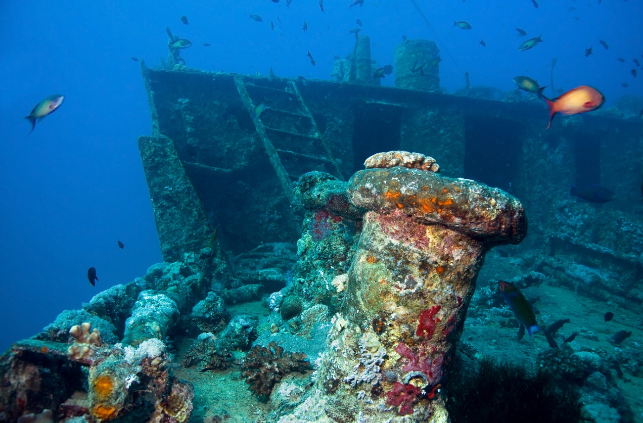 Laut Merah, Antara Sejarah dan Keindahan Alam Bawah Lautnya!