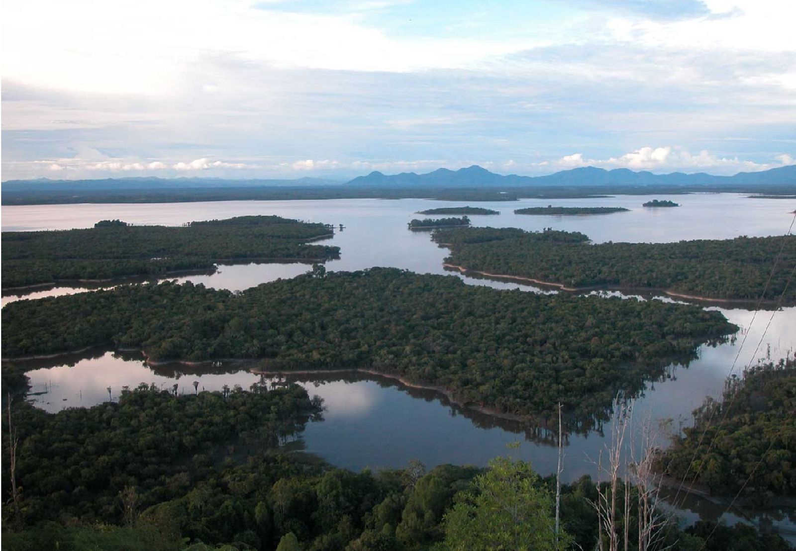 Danau Sentarum, yang Unik dan Langka dari Borneo