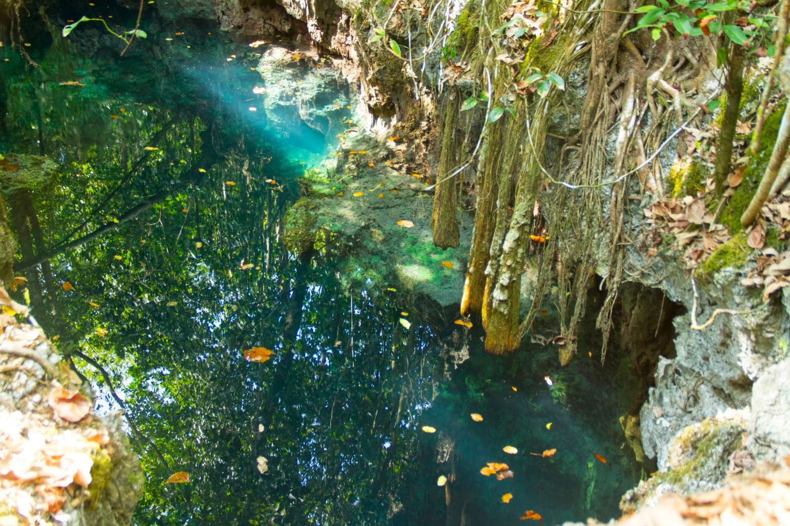 Diving di Gua Haji Mangku, Keren Abis!
