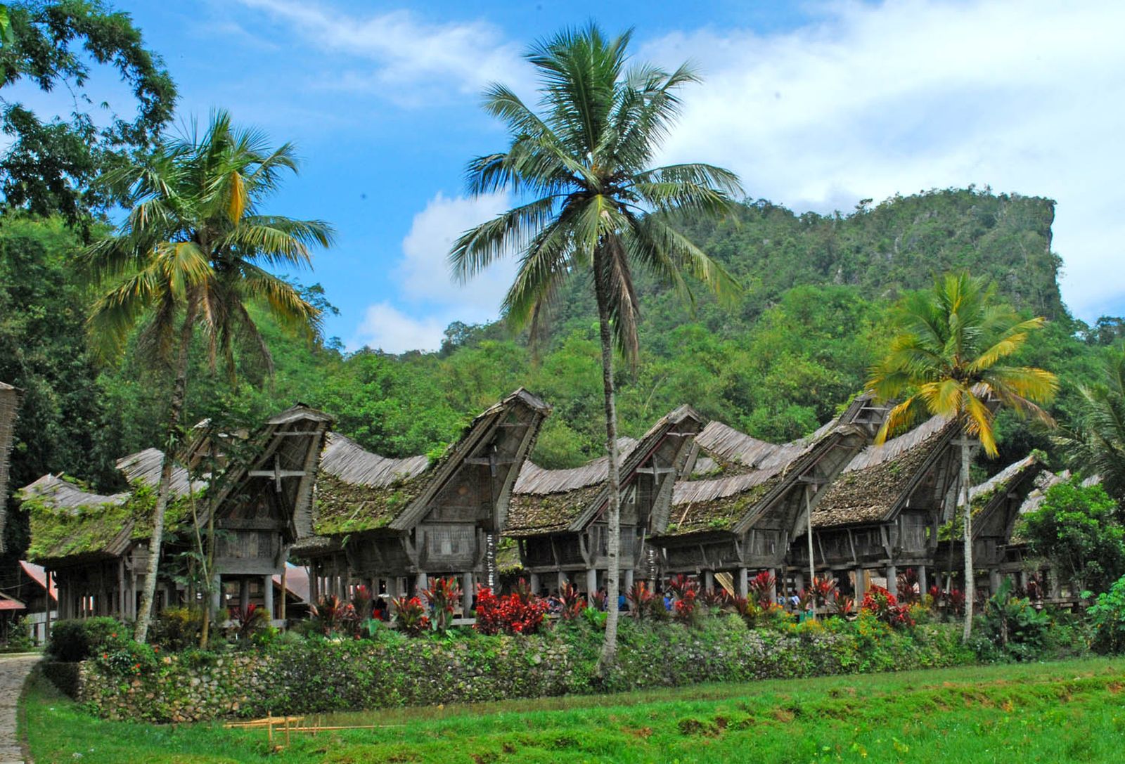 Mencicipi Eksotisme Toraja di Desa Adat Kete Kesu
