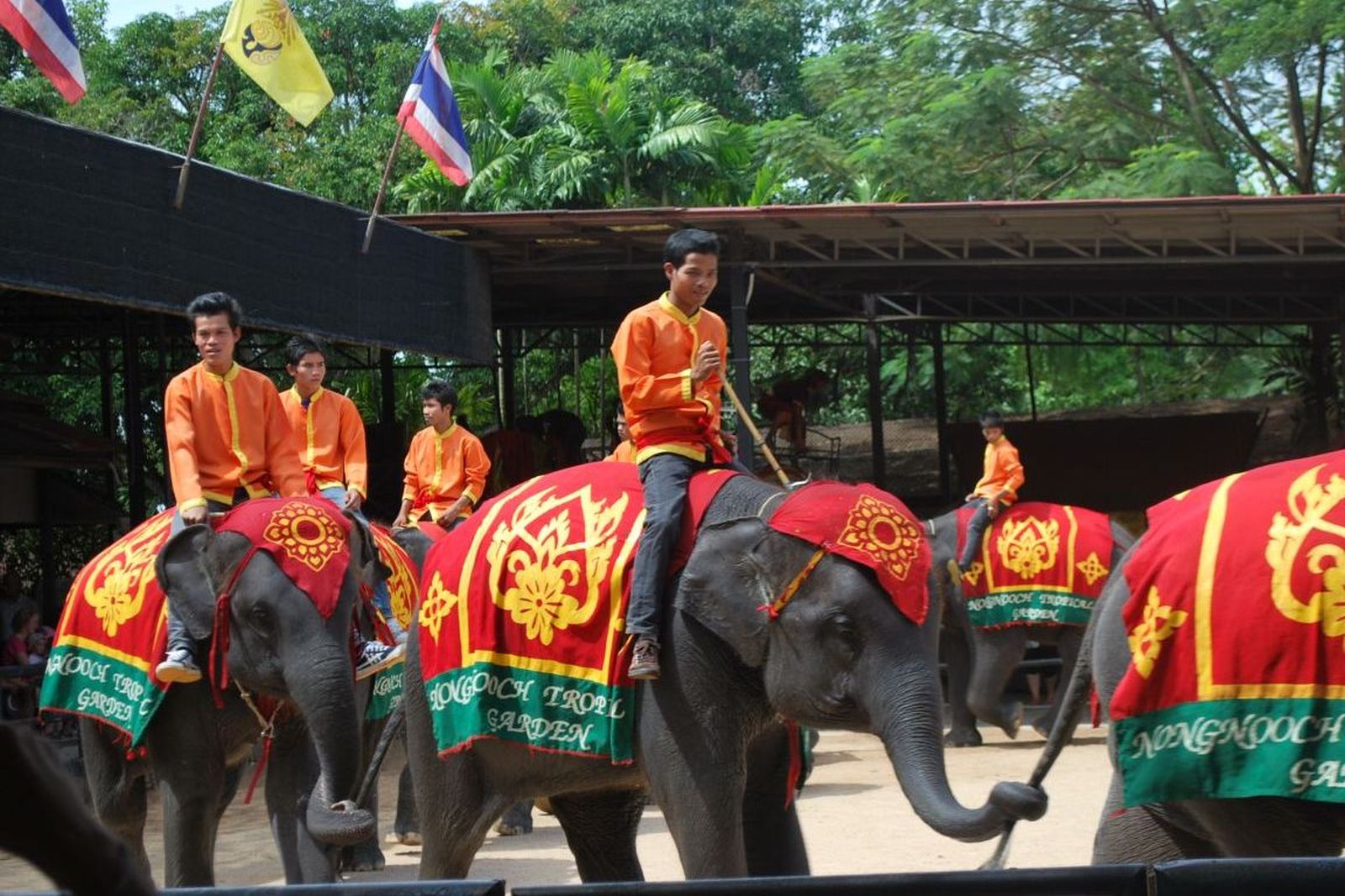 Pattaya Elephant Show, Pertunjukan Asyik di Sudut Thailand