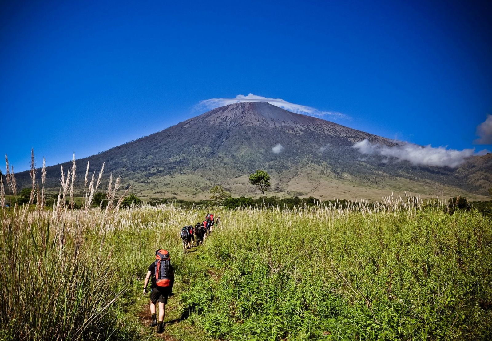 Rinjani Trekking, Menikmati Perjalanan Pendakian Menakjubkan di NTB