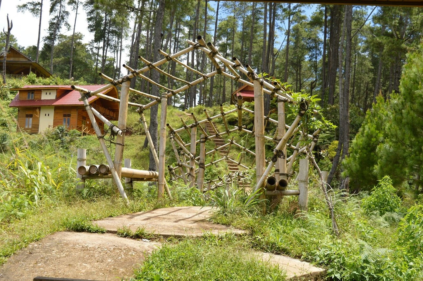 Bro, Begini Nikmatnya Main Berselimutkan Awan di Pango-pango