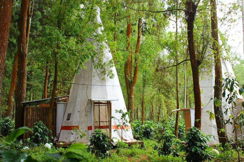 Nggak Perlu ke Amerika, Di Malang Lo Bisa Cicipi Camping Ala Indian!