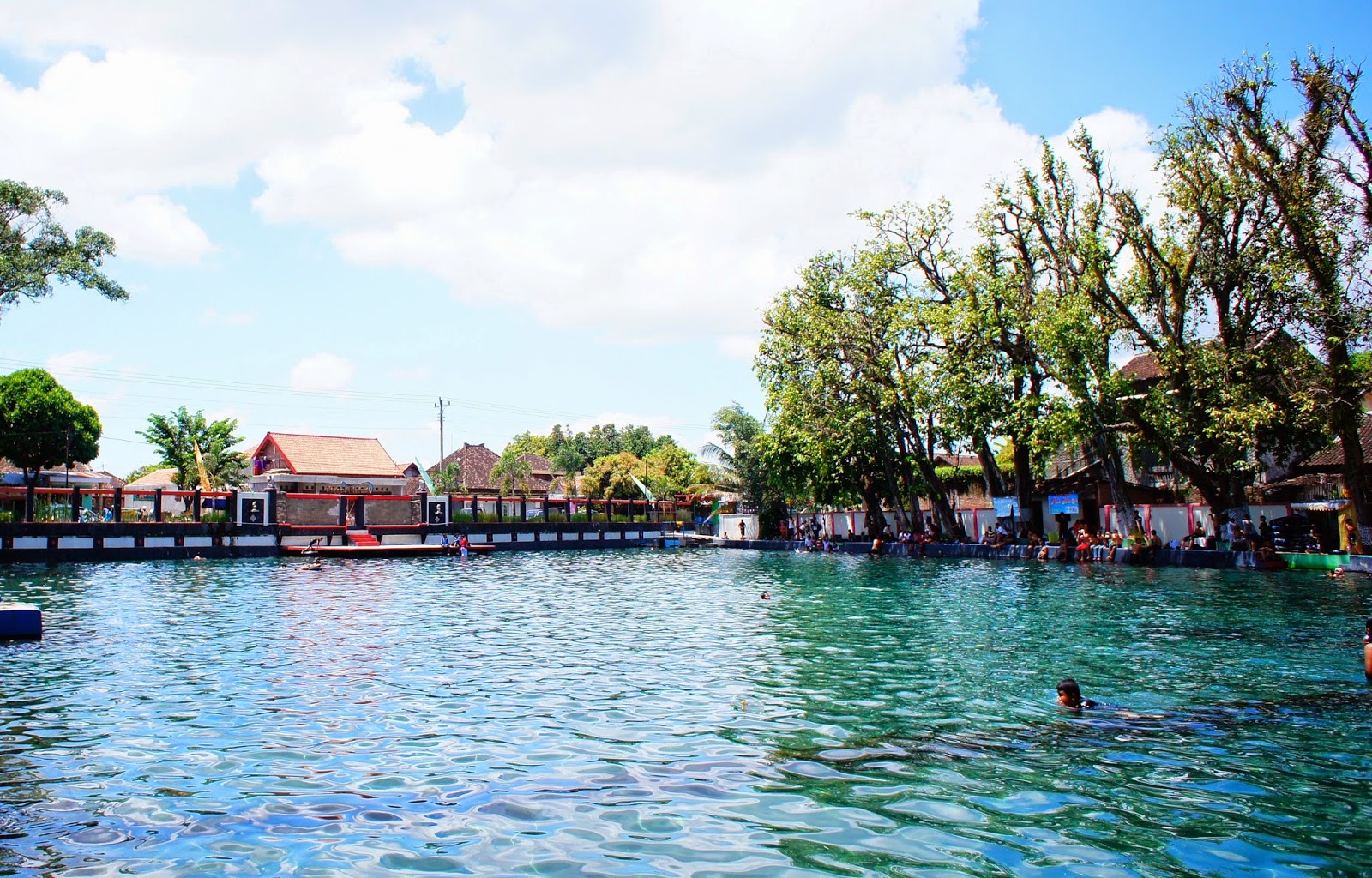 Umbul Ponggok, Snorkeling Untuk Pemula