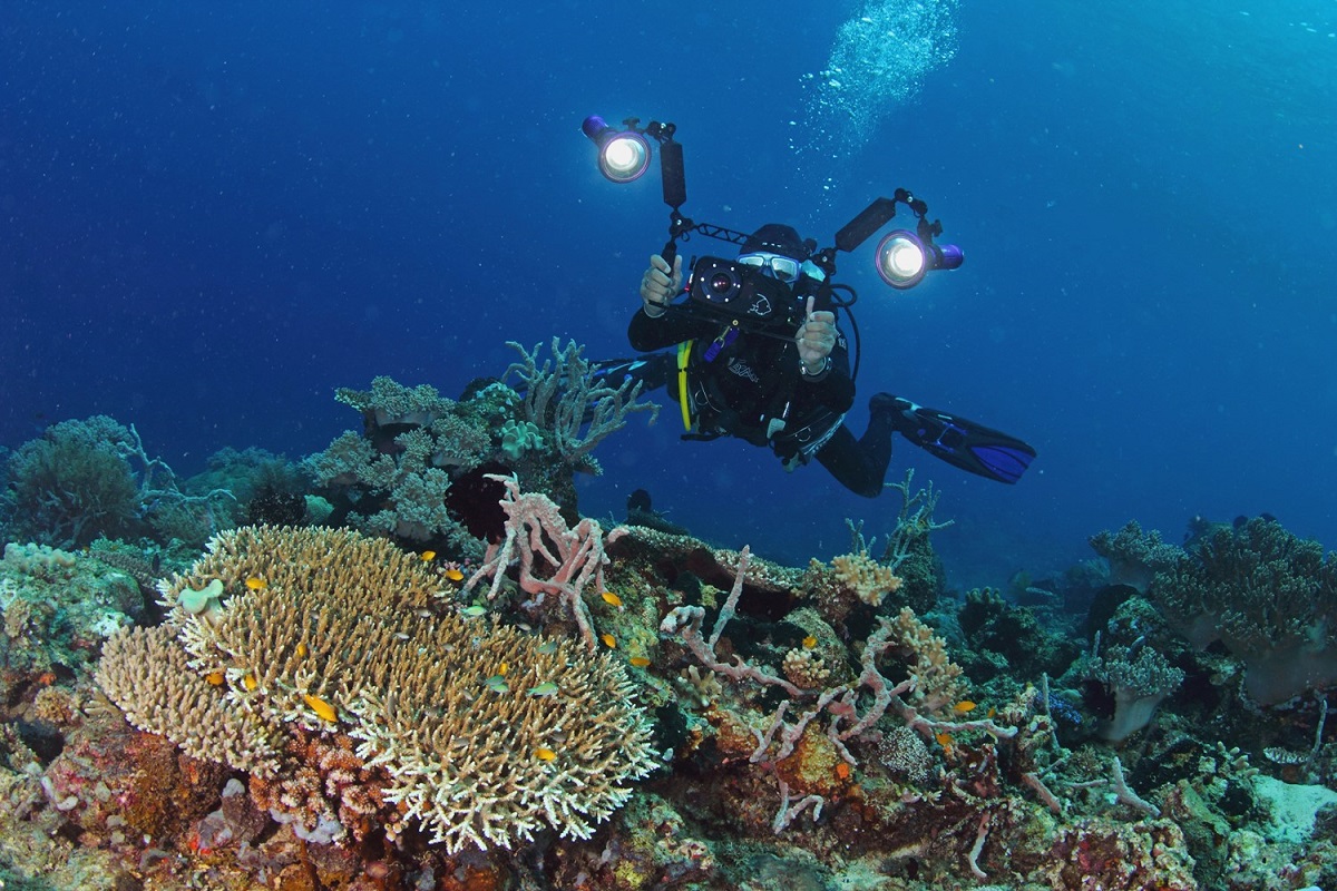 Menjelajah Bawah Laut Teluk Jailolo, Halmahera Barat
