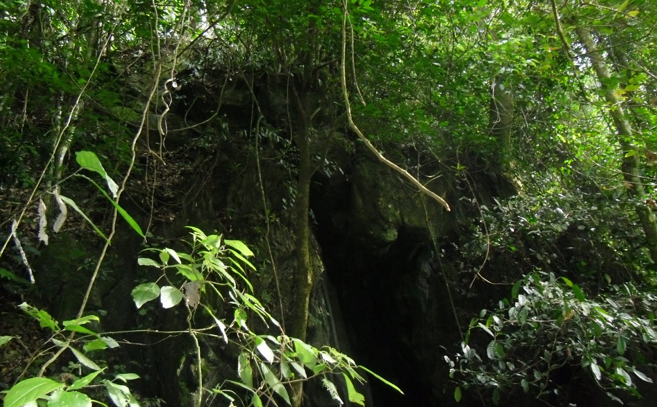 Caving Mania, Gua Kelelawar Jambi Punya Labirin Misterius Lho!