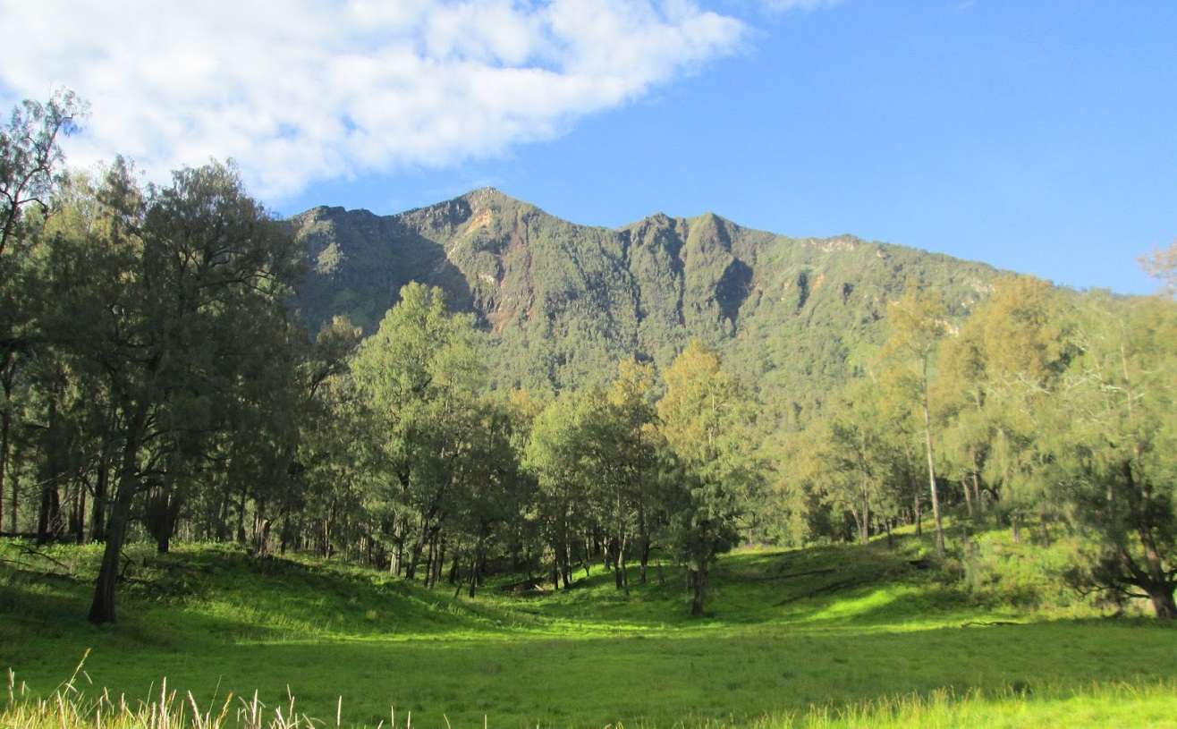 Mitos Jalur Siluman Ke Puncak Gunung Arjuno