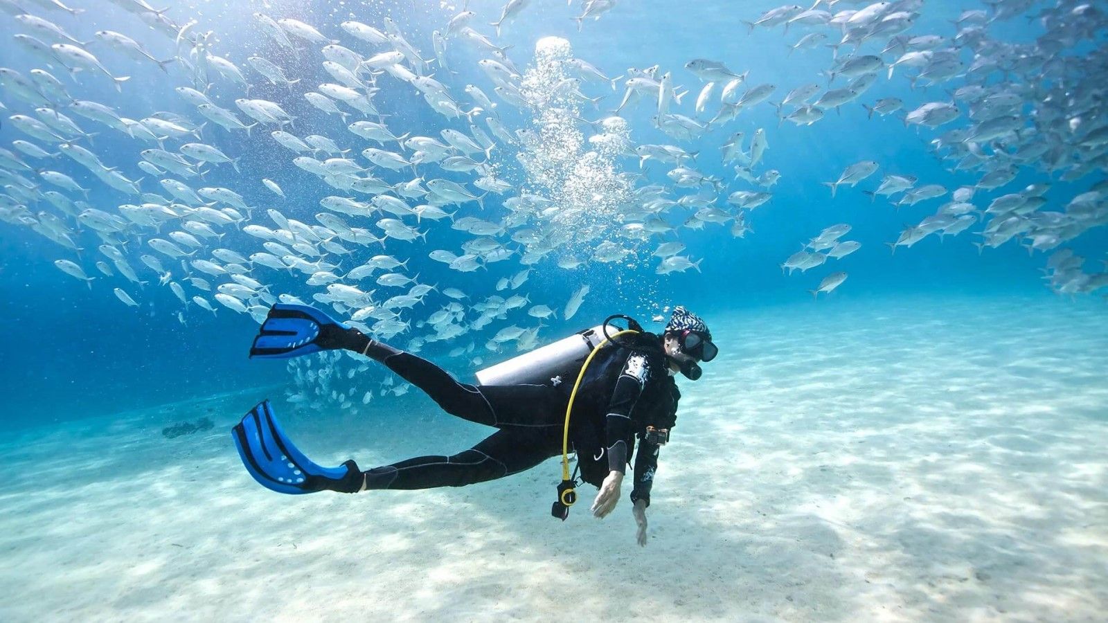 5 Alasan yang akan Bikin Kalian Ketagihan Scuba Diving