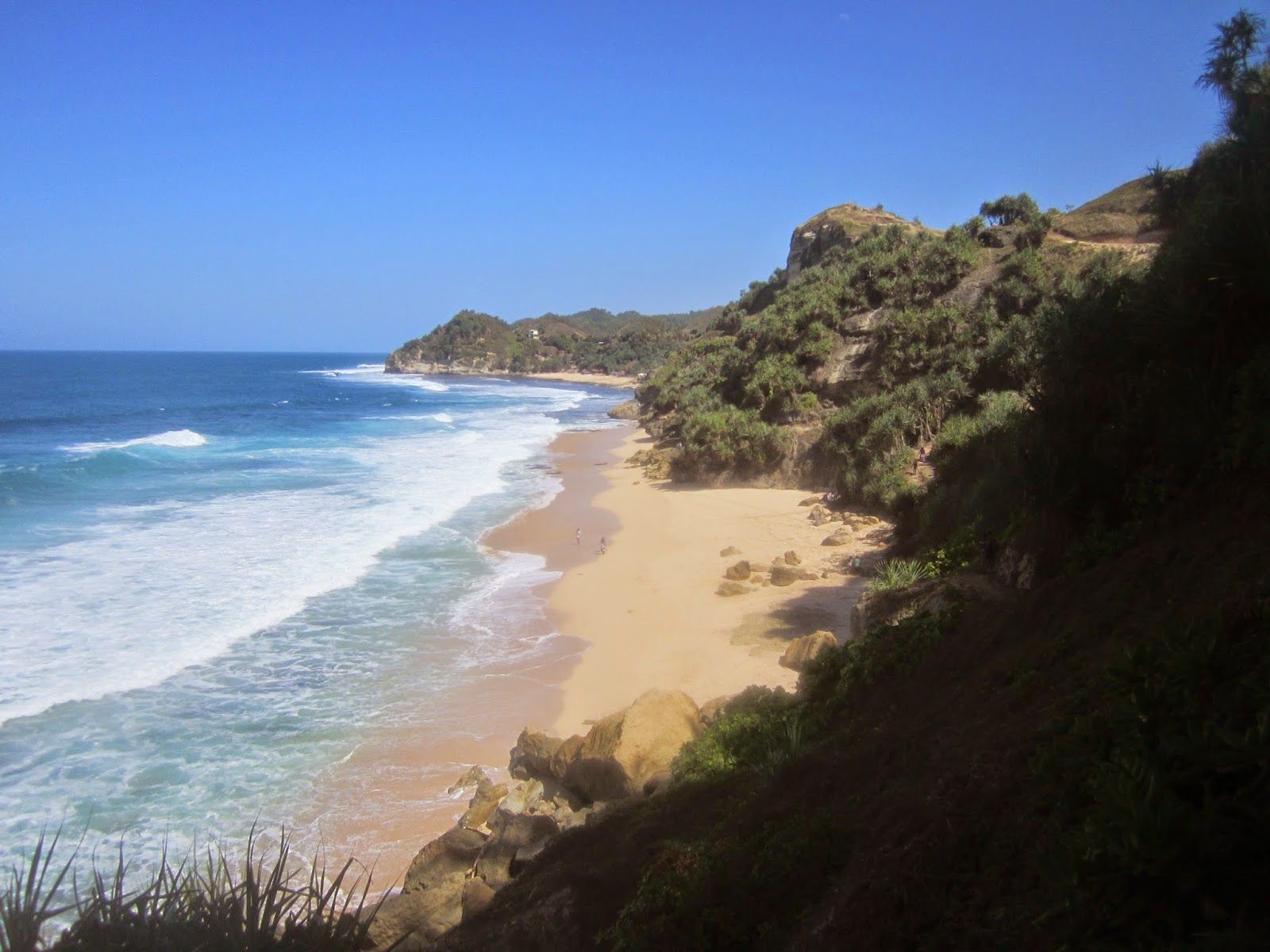 Dari Pantai Kijingan Sampai Hutan Pinus Gemaharjo, Ini Dia Spot Wisata Baru Di Pacitan