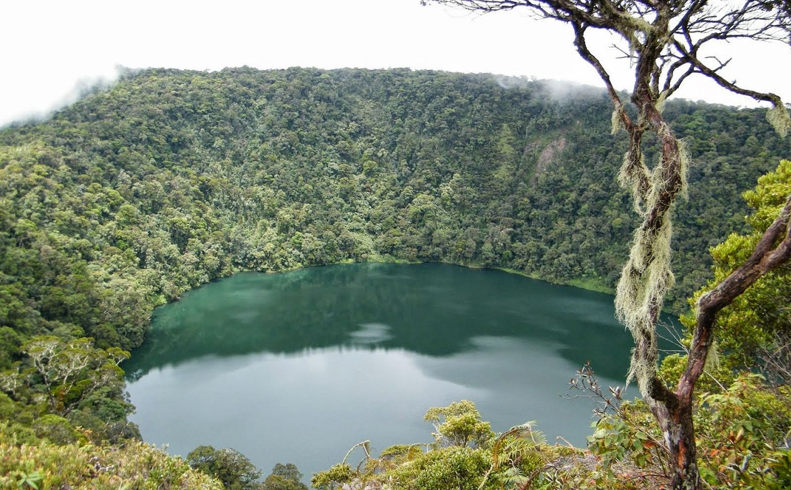 Nggak Cuma Gunung Kerici, Jambi Juga Punya Pesona Danau Kumbang Di Gunung Masurai