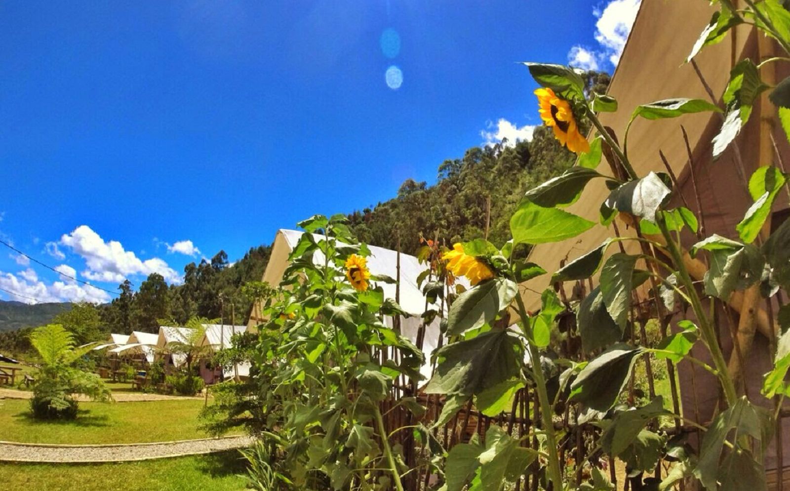 Wajib Coba Bro! Rasakan Sensasi Glamping Seru Di Ciwidey