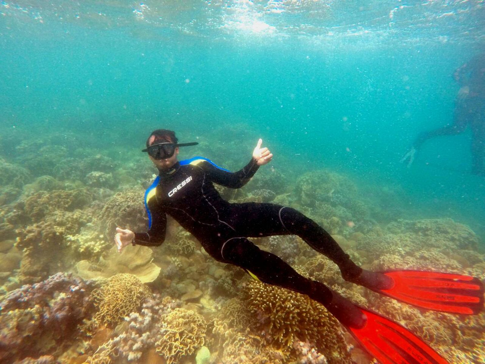 Bongkar Sejuta Pesona Pulau Petong, Surga Baru untuk Pecinta Snorkeling