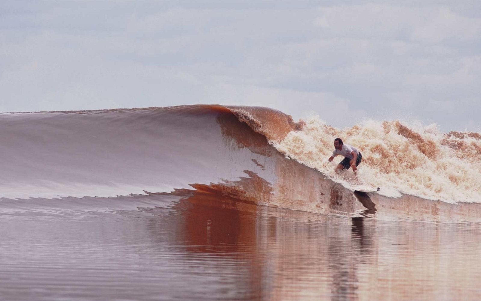 Gokil! Gelombang Bono Bisa Bikin Turis Surfing Di Sungai Kampar