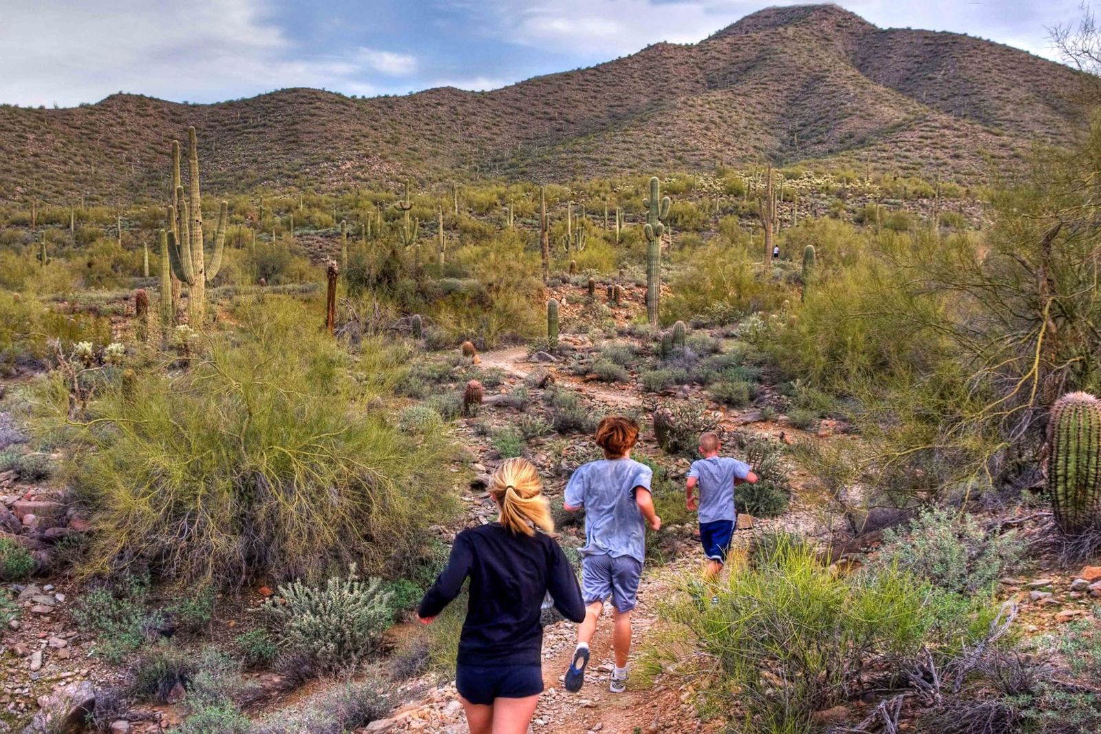 Tips Buat Kalian yang Mau Trail Running di Sonoran, Gurun Terpanas di Meksiko