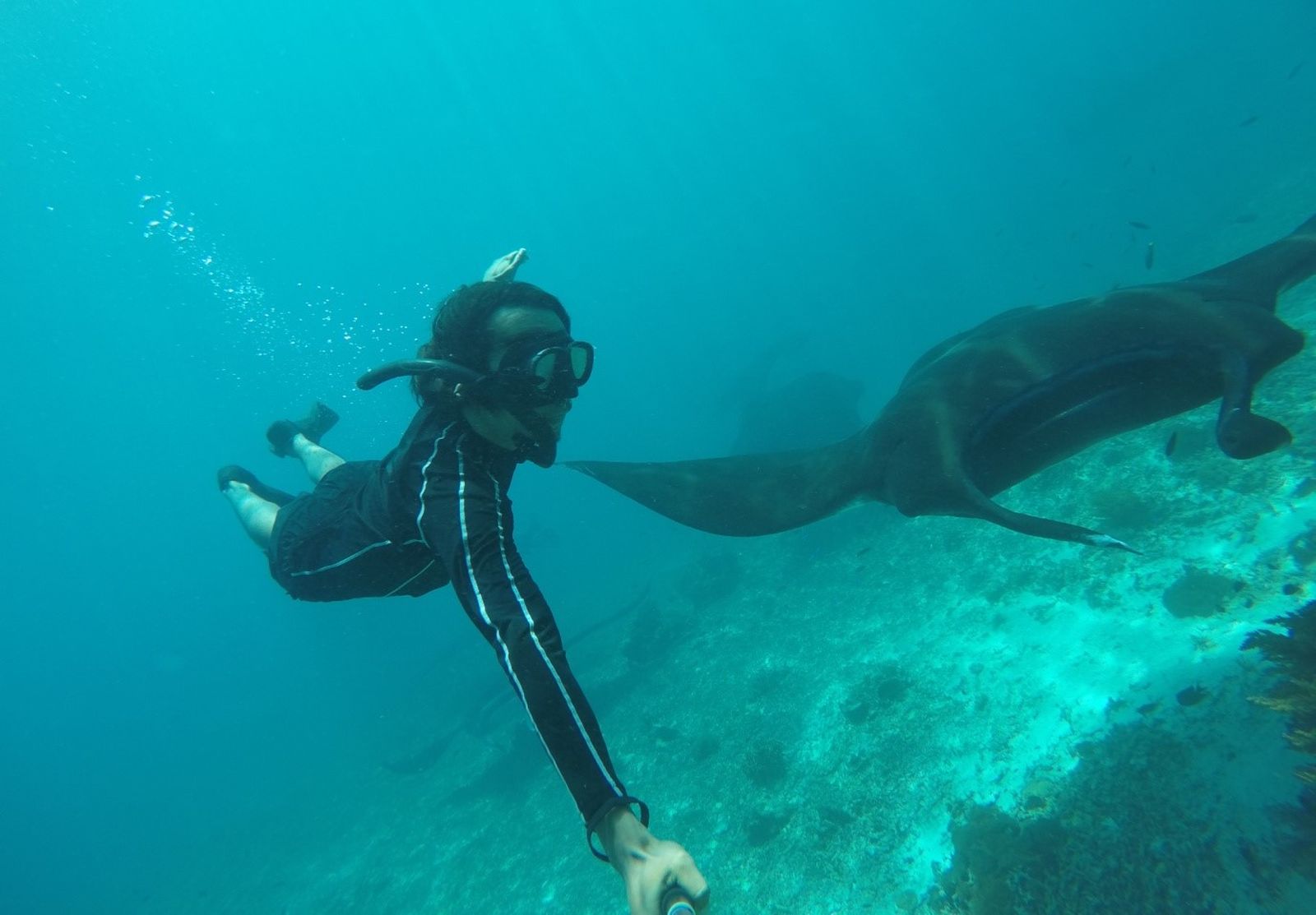 Mewujudkan Imajinasi Masa Kecil, Freedive Di Labuan Bajo  Ãƒâ€šÃ‚Â 