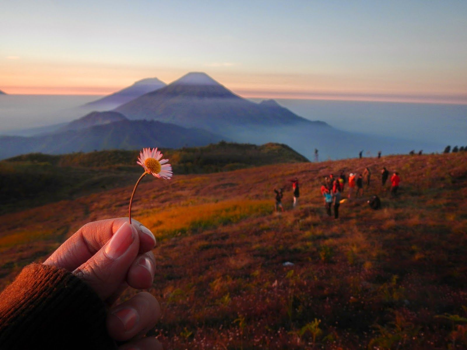Menggapai Pucuk Gunung Prau Demi Sepenggal Sunrise Super Dahsyat!