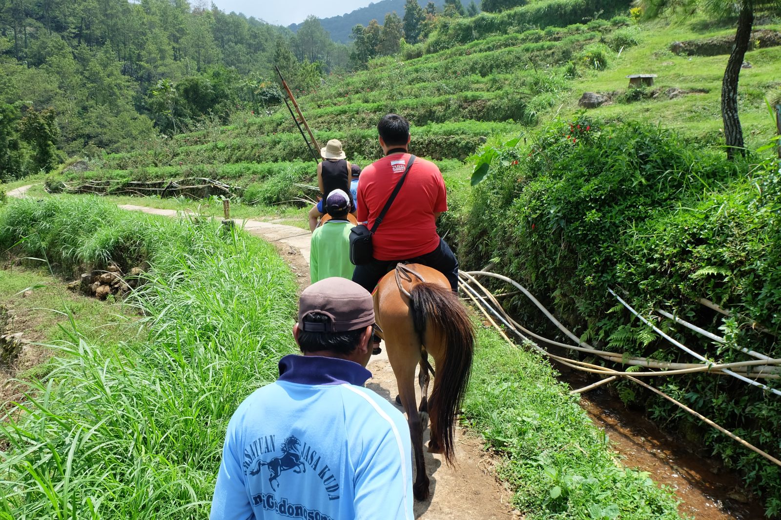 Berkuda Di Candi Gedong Songo Jawa Tengah, Lo Musti Coba Bro!