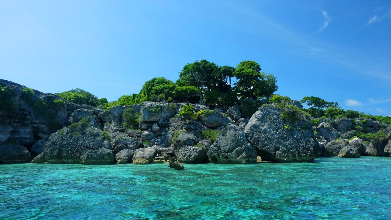 Seru Nih Bro, Pengalaman Menyelam Bareng Hiu-Hiu Lucu di Tanjung Bira, Sulawesi!