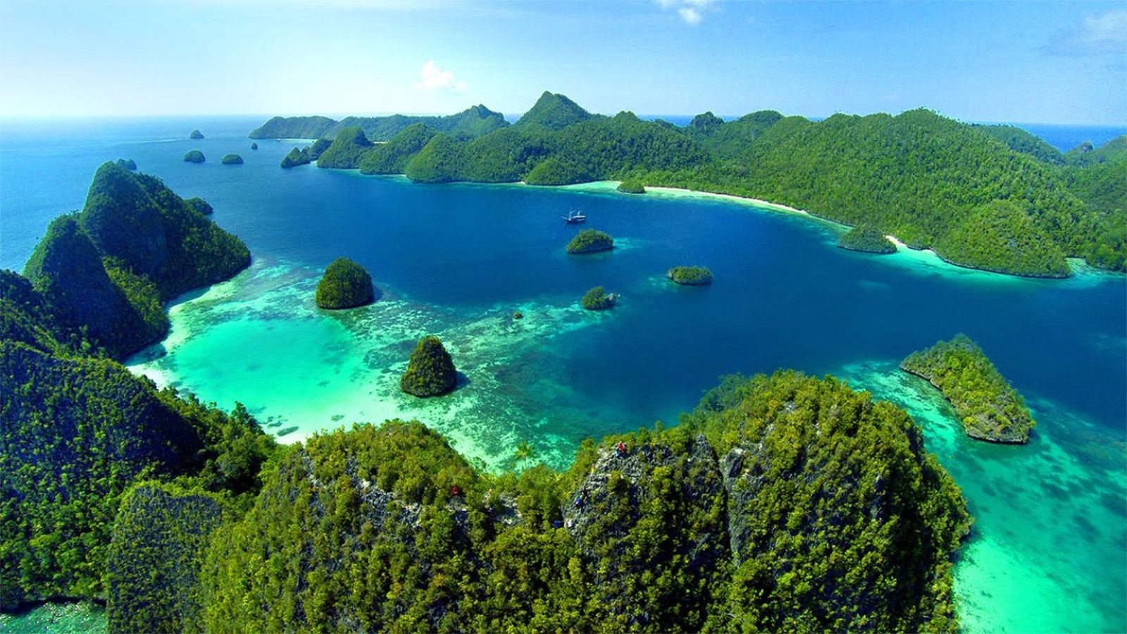 Spot Diving Raja Ampat, Ini Nih Surganya Bawah Laut Indonesia Bro!