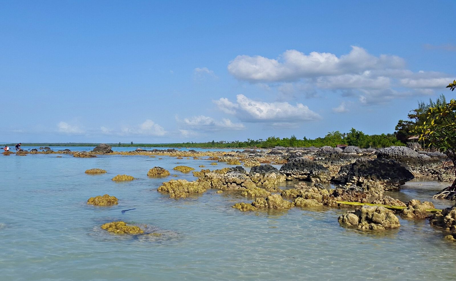 Bukan Cuma Lompat Batu, Di Nias Lo Bisa Datang Ke Tempat-Tempat Super Keren Ini