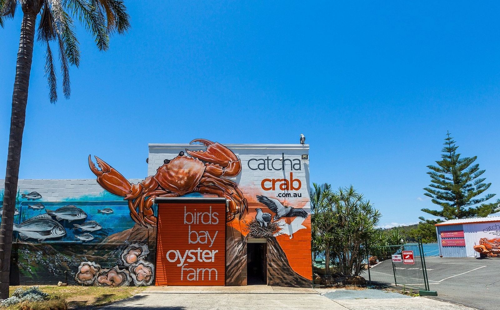 Bukan Cuma Ikan, Di Tempat Ini Lo Bisa Mancing Kepiting