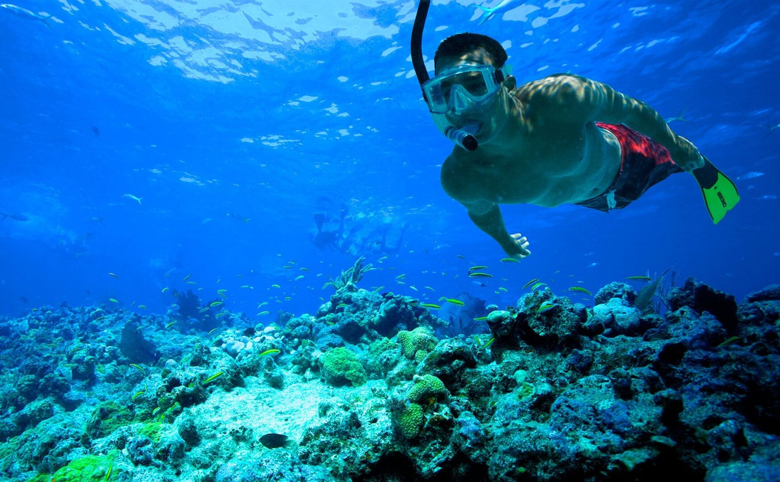 Belum Banyak yang Tahu, Ternyata Snorkeling Ada Bahayanya Juga Lho