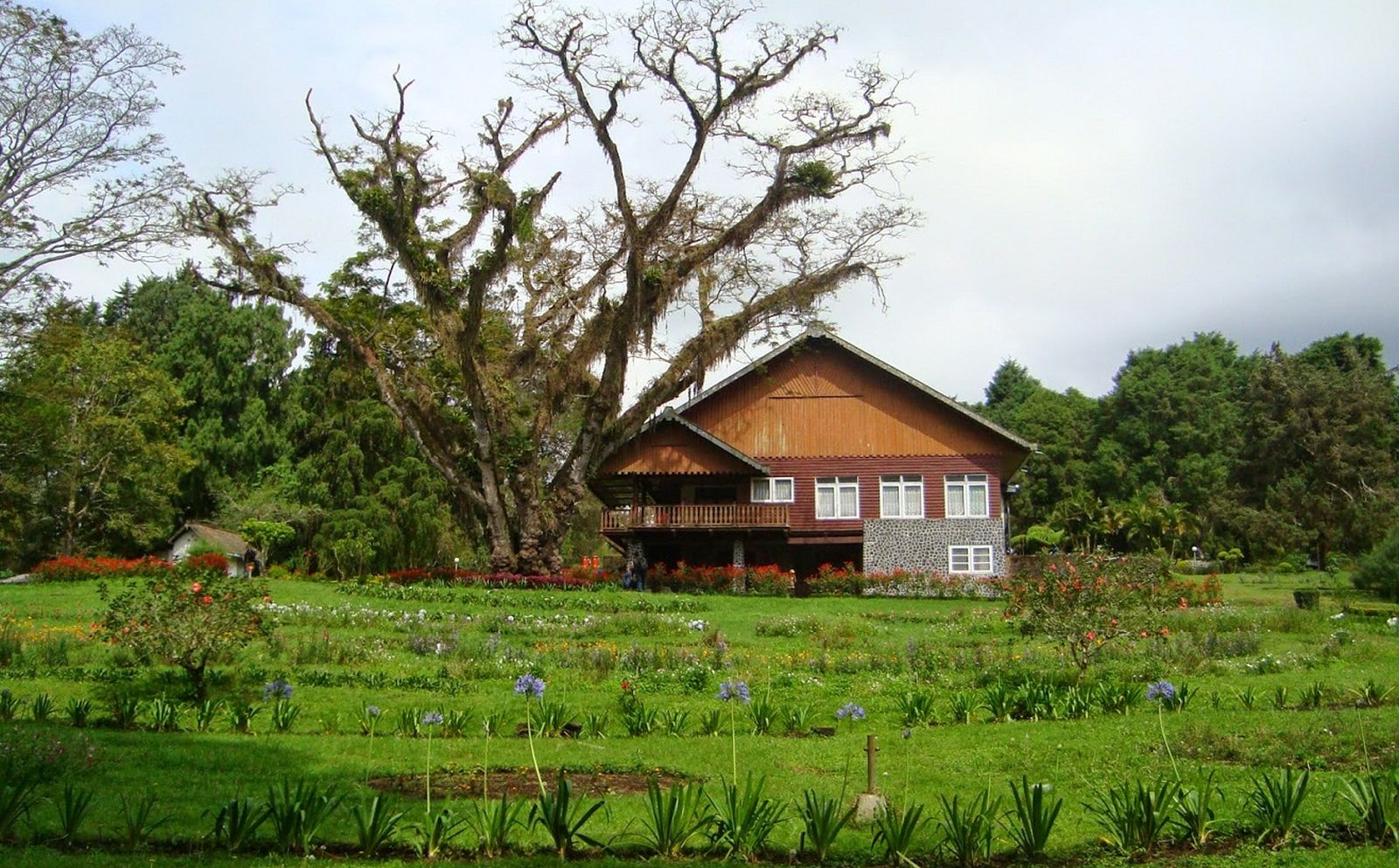 Guest House Ala Belanda Di Jampit. Hati-Hati, Bisa Bikin Lo Betah Bro!