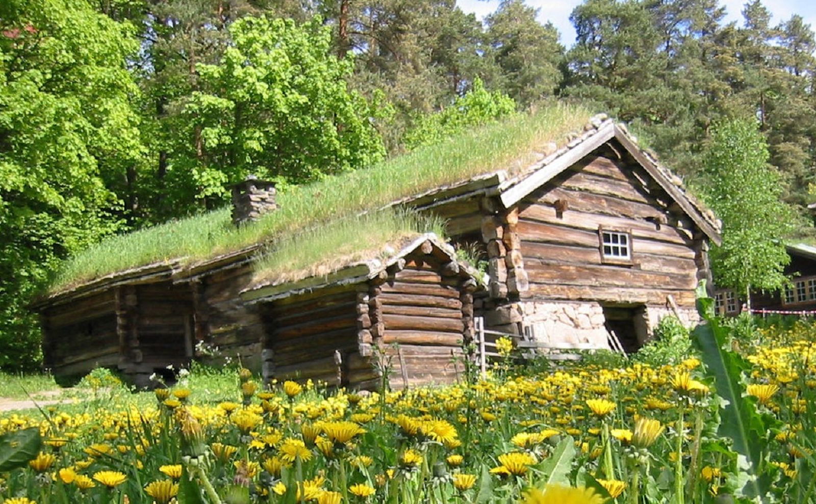 Keren! Tradisi Viking Ini Bikin Kebun Di Atas Atap Rumah